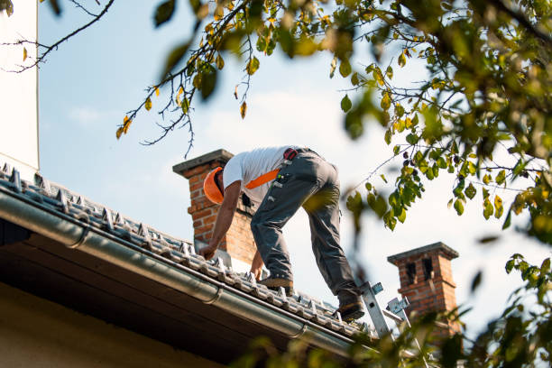 Best Roof Replacement Cost  in Wilson, OK